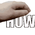petHOW Discord emoji
