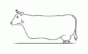 cowwwwwwwwwwwwwwwwwwwwwwwwwwwwww