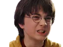 2321_HarryPotter_grr