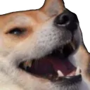 feelgoodman feelgoodman