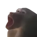 monkePog monkePog