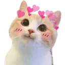 uwu
