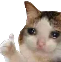 Cry_ThumbsUp