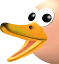 pogoduck