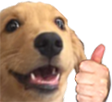 okei Discord emoji