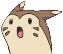 Q_furretShocked