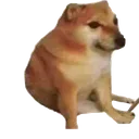 bonk bonk