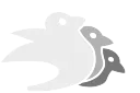 broovy