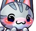 zLollyBlush zLollyBlush