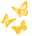 yellowbutterflies