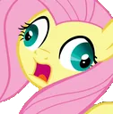 FlutterGasp2