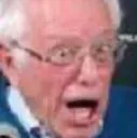 berniepog