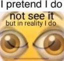 ipretendidonotsee