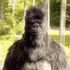 thumbsupfr