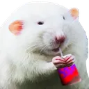 juicerat