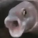 screaming_intestified