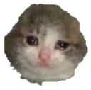 PlzDontHurtMe