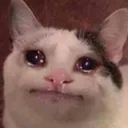 cryingcat cryingcat
