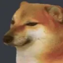 sad_doggo
