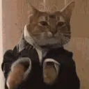 catdance