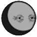 pain9