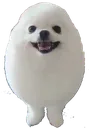 EggPog