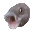 pogphish