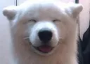 happycloud happycloud