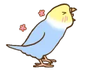 bird2