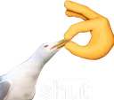 shut