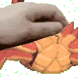 petcrab
