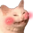 3_CatBlush Discord Emoji