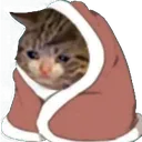sadcat_esc Discord Emoji