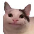 smilecat2_2