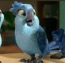 caarrrllaa_carla Discord emoji
