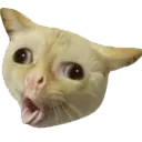 Coughcat Discord Emoji