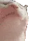 catJAM