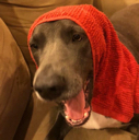 Babushka Discord emoji