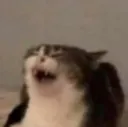 FUUUHHHHHHHH FUUUHHHHHHHH