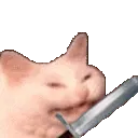 CatSwing
