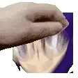 namipet