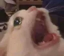 HeScream