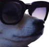 swag_doggo