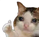 thatsokcri
