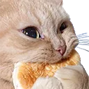 omnom