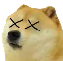 dogedead