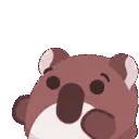 koalahype