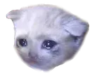 sadkit