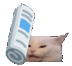 zbadcat