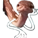 snakehmmm